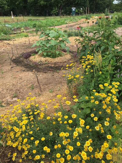 Permaculture_-2nd_saturdays_04-2018