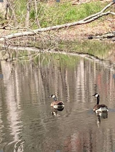 Earthen_hands_image_2023-07-09